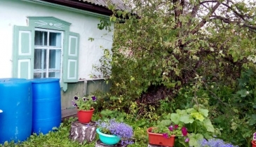 д. Усовка, д. Усовка, ул. Дачная