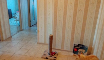 г. Омск,  ул. 7-я Судоремонтная, 1