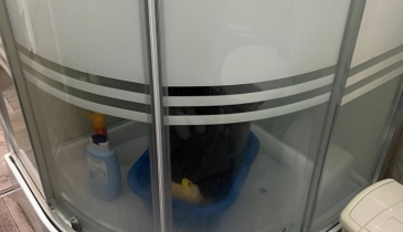 рп. Москаленки, рп. Москаленки, ул. Сибирская