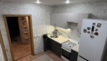 с. Троицкое, Омский р-н, с. Троицкое, ул. Дорстрой