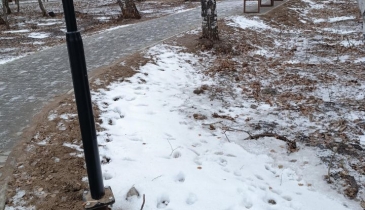 г. Омск,  ул. Волгоградская, 46