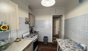 г. Омск,  пр-кт. Мира, 106