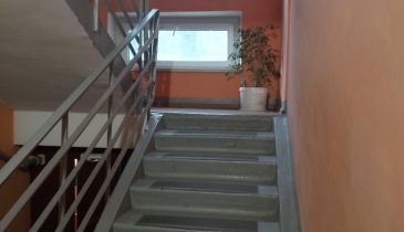 г. Омск,  пр-кт. Мира, 167А