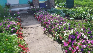 с. Надеждино, с. Надеждино, ул. Центральная, 1Б