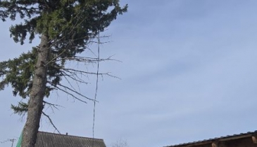 рп. Муромцево, рп. Муромцево, ул. Октябрьская