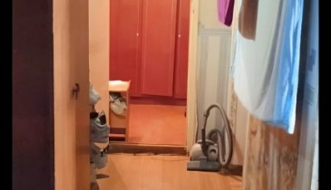 г. Омск,  ул. 5-я Кордная, 24