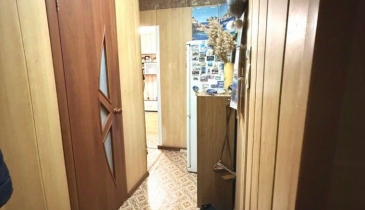 г. Омск,  ул. Революционная, 20