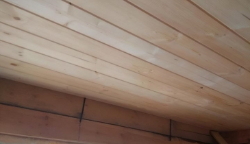 г. Омск,  дп. сдт Ромашка (ЦАО1)