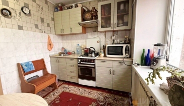 г. Омск,  ул. Революционная, 20