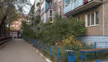 г. Омск,  пр-кт. Мира, 167А