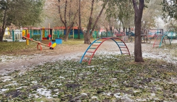 г. Омск,  ул. Любинская 2-я, 11А