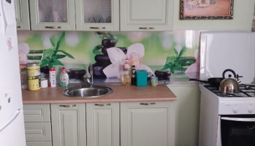 г. Омск,  тер. СОСН Путеец-1