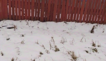 д. Кочки, д. Кочки, ул. Солнечная, 57