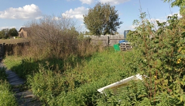 с. Красноярка, Омский р-н, с. Красноярка, ул. Новая, 5