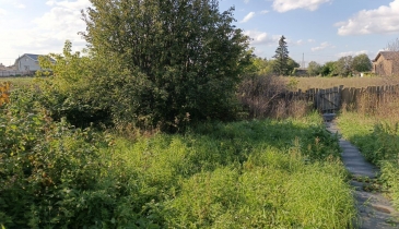 с. Красноярка, Омский р-н, с. Красноярка, ул. Новая, 5