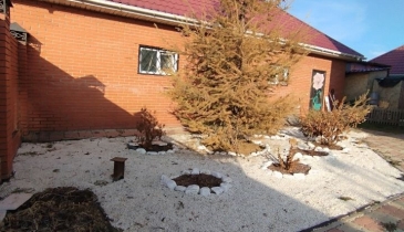 с. Троицкое, Омский р-н, с. Троицкое, ул. О.Кошевого, 6В