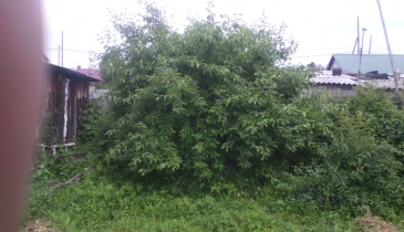 с. Нижнеиртышское, с. Нижнеиртышское, 