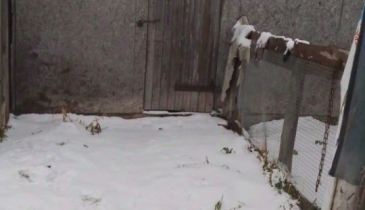 д. Кочки, д. Кочки, ул. Солнечная, 57