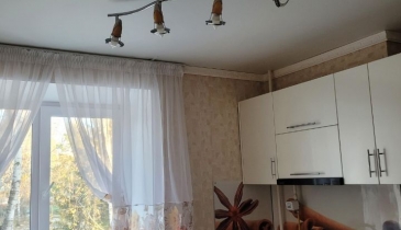 с. Лузино, Омский р-н, с. Лузино, ул. 30 лет Победы, 17