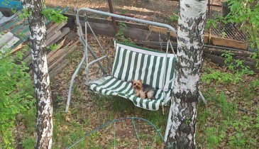 г. Омск,  дп. сдт Юбилейный (КАО)