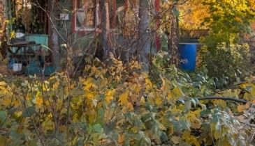 г. Омск,  дп. сдт Юбилейный (КАО)