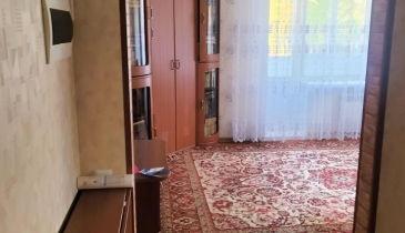 с. Лузино, Омский р-н, с. Лузино, ул. 30 лет Победы, 17