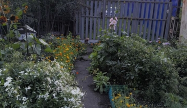 г. Омск,  дп. сдт Юбилейный (КАО)