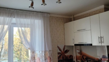 с. Лузино, Омский р-н, с. Лузино, ул. 30 лет Победы, 17