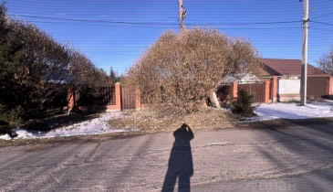 с. Дружино, с. Дружино, 