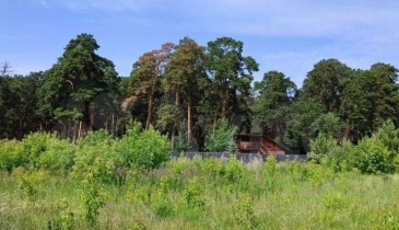 с. Новотроицкое, с. Новотроицкое, 