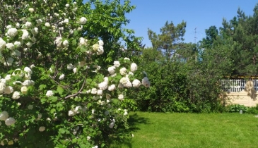 г. Омск,  ул. Фабричная, 81