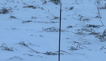 п. Магистральный, п. Магистральный, 