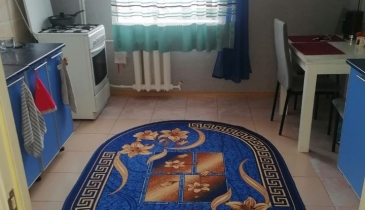 г. Называевск, г. Называевск, ул. Мира, 13