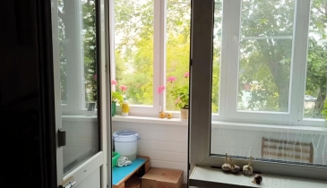 г. Омск,  ул. Лисицкого, 5А