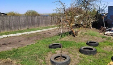 с. Заречное, Нововаршавский р-н, с. Заречное, ул. Набережная, 21