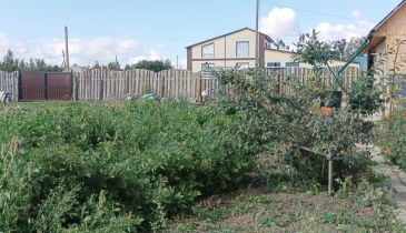 ст. Русская Поляна, ст. Русская Поляна, 