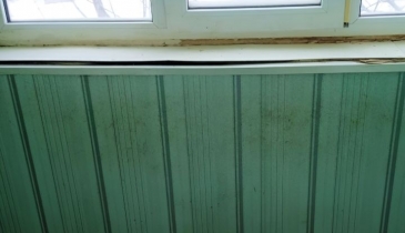 ст. Русская Поляна, ст. Русская Поляна, 