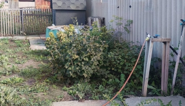 ст. Русская Поляна, ст. Русская Поляна, 