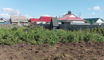 ст. Русская Поляна, ст. Русская Поляна, 