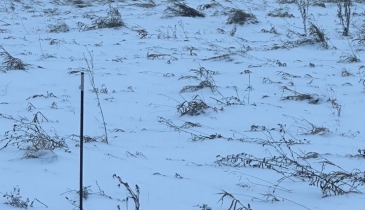 п. Магистральный, п. Магистральный, 