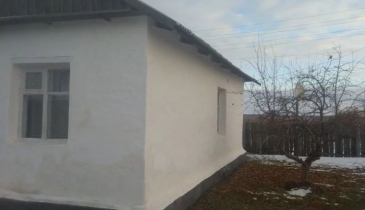 с. Александровка, Нововаршавский р-н, с. Александровка, ул. Береговая