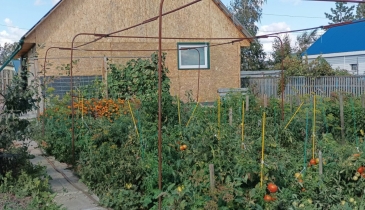 ст. Русская Поляна, ст. Русская Поляна, 