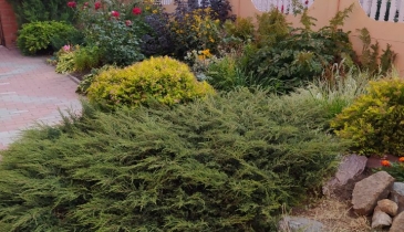 г. Омск,  ул. Фабричная, 81