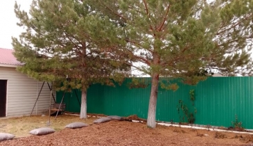 с. Новотроицкое, с. Новотроицкое, ул. Новая, 26