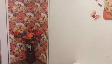 г. Омск,  пер. Камерный, 54А