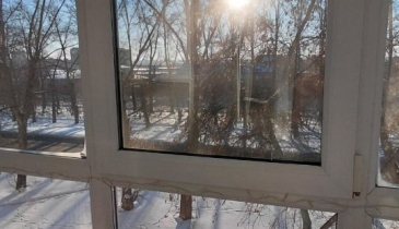 г. Омск,  пр-кт. Мира, 102