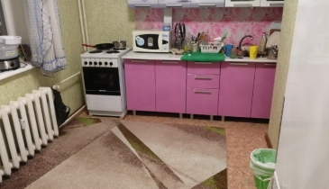 г. Омск,  ул. 19-я Линия, 184